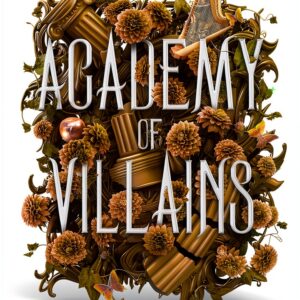 Academy of Villains Book 2 Kindle Edition English Fantasy-0