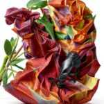 OUP Oxford Mystery Literary Criticism English eBook-0