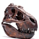 Conspiracy Series Kindle eBook Biological Science Dinosaurs-0