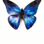 Holy Bloodlines Fantasy eBook Kindle English Mythology-0