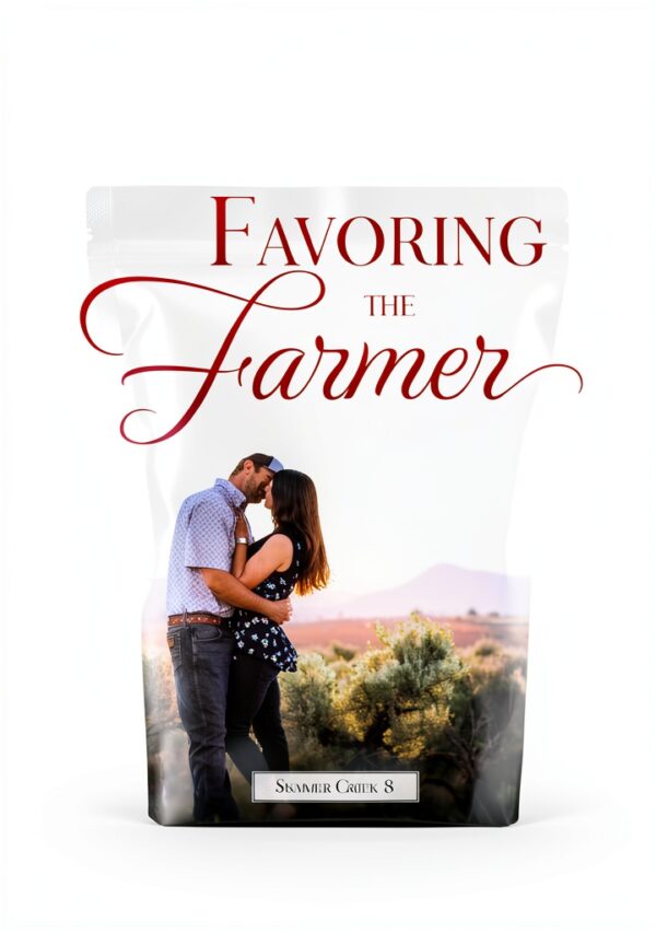 Summer Creek Book 8 Kindle eBook Wholesome Hearts Christian Western-0