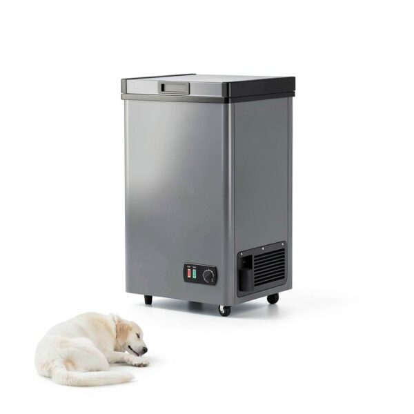 Chest Freezer 5 SUNDAY LIVING 4.2 Cu Ft Gray Compact with Fast Cooling-4